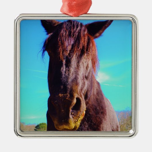 Ornement En Métal Cheval pourpre avec Bouche verte (Devant)