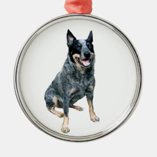 Ornement En Métal Chien Bouvier Australien (B)