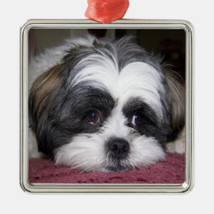 Ornement En Métal Chien de Shih Tzu
