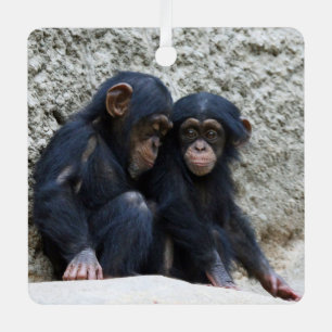 Ornement En Métal Chimpanzé 002