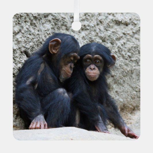 Ornement En Métal Chimpanzé 002 (Recto)