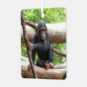 Ornement En Métal Chimpanzée 001 (Avant gauche)