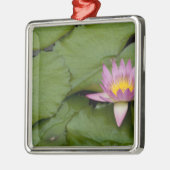 Ornement En Métal Chine, Hong Kong, Nouveaux Territoires. Chi Lin (Gauche)