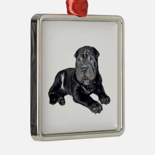 Ornement En Métal Chinois Shar Pei - chiot noir (Droite)