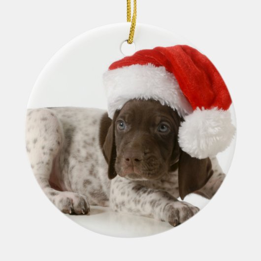 Ornement En Métal Chiot de Noël - indicateur aux cheveux courts (Devant)