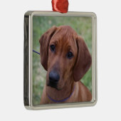 Ornement En Métal Chiot de Ridgeback (Droite)