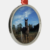 Ornement En Métal Chocolat au lait Cheval Brown en bleu (Droite)