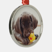 Ornement En Métal Chocolat Labrador Puppy With Toy Duck (Droite)