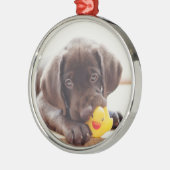 Ornement En Métal Chocolat Labrador Puppy With Toy Duck (Gauche)