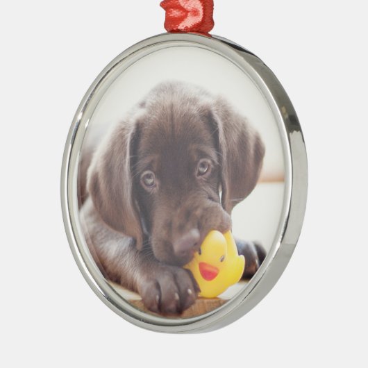 Ornement En Métal Chocolat Labrador Puppy With Toy Duck (Gauche)