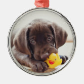 Ornement En Métal Chocolat Labrador Puppy With Toy Duck (Devant)