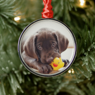 Ornement En Métal Chocolate Labrador Puppy With Toy Duck