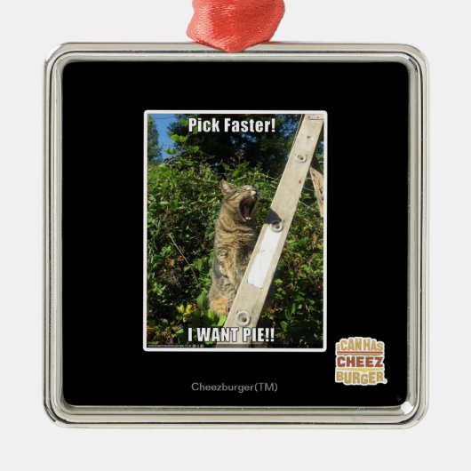 Ornement En Métal Choisissez plus vite ! (Devant)