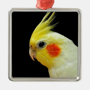 Ornement En Métal Cockatiel de Lutino