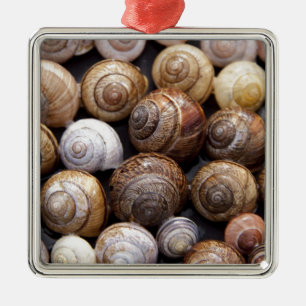 Ornement En Métal Coques des escargots