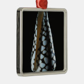 Ornement En Métal Coquille 2 de cône (Droite)