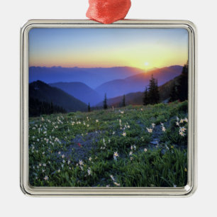 Ornement En Métal Coucher de soleil de Point d'obstruction, Pôle oly