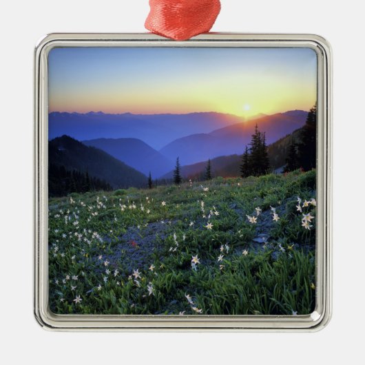 Ornement En Métal Coucher de soleil de Point d'obstruction, Pôle oly (Devant)