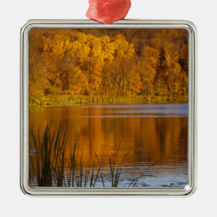 Ornement En Métal Couleurs d'automne dans le parc d'état de Maplewo