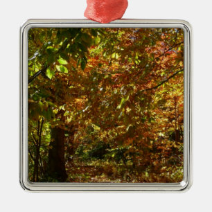 Ornement En Métal Couvert de feuilles d'automne II Photographie d'au