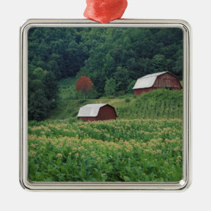 Ornement En Métal Culture du tabac et paire de granges à tabac rouge