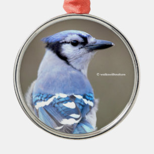 Ornement En Métal Cute Bleu Jay Songbird sur Treestump