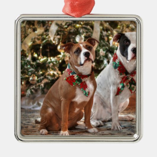 Ornement En Métal Cute Christmas Rescue Pitbull and America Bull Dog (Devant)