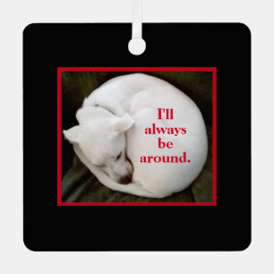 Ornement En Métal Cute Curled Up Chien Chien Chien Blanc Valentine's