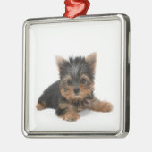 Ornement En Métal Cute Yorkshire Terrier Puppy (Gauche)