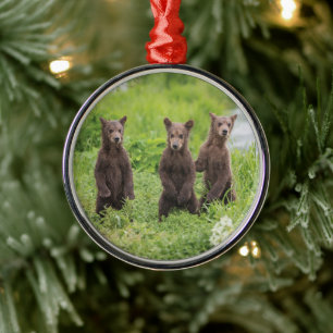 Ornement En Métal Cutest Baby Animals Kamchatka Brown Bear Cubs