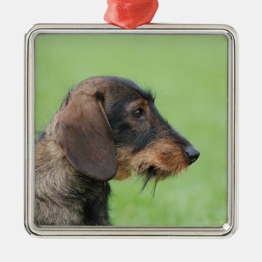 Ornement En Métal Dachshund (Devant)