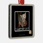 Ornement En Métal Dangereux (Droite)