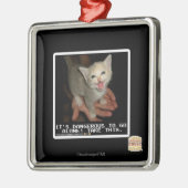 Ornement En Métal Dangereux (Gauche)