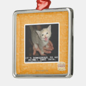 Ornement En Métal Dangereux (Gauche)