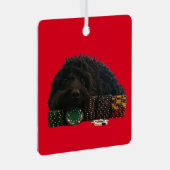 Ornement en métal de chien de poker (Avant droite)