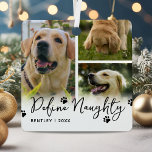 Ornement En Métal Définir Naughty Funny Pet Noël<br><div class="desc">L'ornement de noël animal de compagnie avec 3 photos personnalisées de votre chien ou chat,  le drôle de dicton "définir vilain",  votre nom d'animal de compagnie,  et l'année.</div>