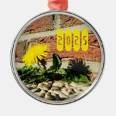 Ornement En Métal Déterminé Dandelion, Dandelion dans le trottoir (Devant)