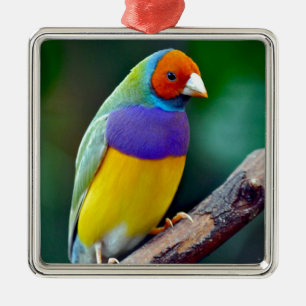 Ornement En Métal Diamant de Gould coloré