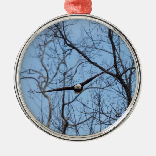 Ornement En Métal Droite Sur Aigle (Devant)