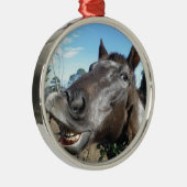 Ornement En Métal Drôle Cheval brun visage (Droite)