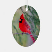 Ornement en métal du Cardinal du Nord (Avant droite)