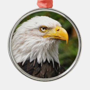 Ornement En Métal Eagle chauve américain