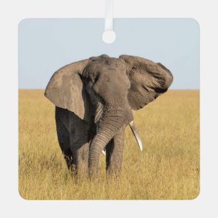 Ornement En Métal Elephant Personnaliser Nom Photo Noël