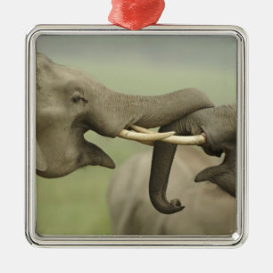 Ornement En Métal Éléphants asiatiques indiens qui jouent à se battr