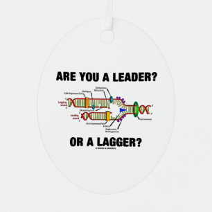 Ornement En Métal Es-Tu Un Leader ? Ou Un Plus Grand ? Réplication A