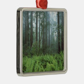 Ornement En Métal États-Unis, Californie, Redwood NP. Fermes et (Droite)