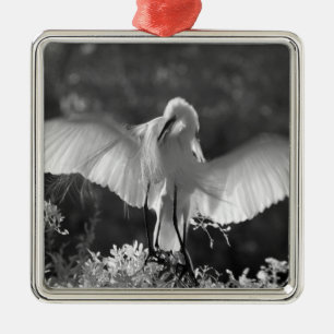 Ornement En Métal États-Unis, Floride, Grande Aigrette (Ardea alba)