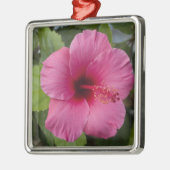 Ornement En Métal États-Unis, Hawaï, Oahu. L'Hibiscus est le 2 (Gauche)