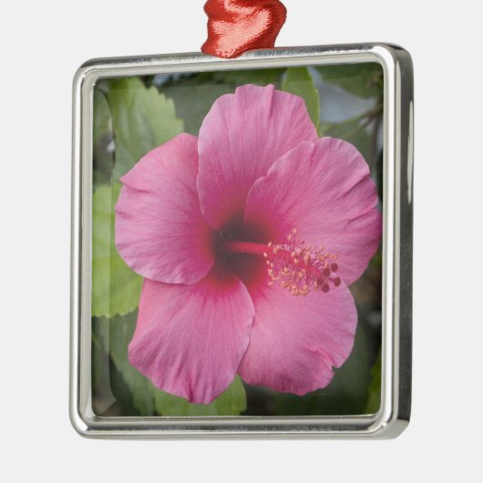 Ornement En Métal États-Unis, Hawaï, Oahu. L'Hibiscus est le 2 (Gauche)