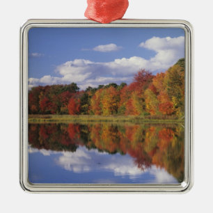 Ornement En Métal États-Unis, Massachusetts, Acton. Reflet de l'auto